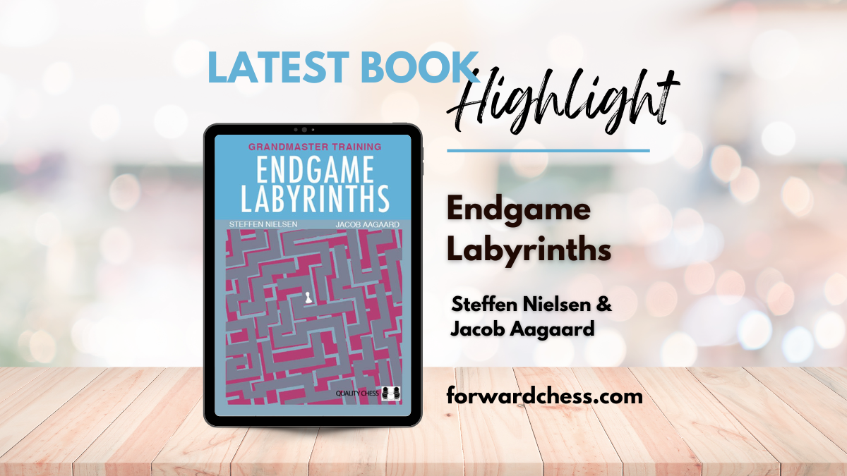 Latest Book Highlight: Endgame Labyrinths